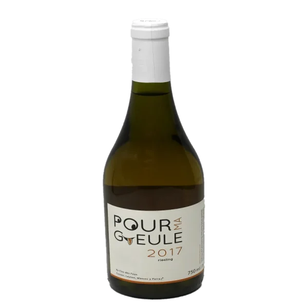2017 Riesling - Clos des Fous Pour Ma Guele | JS91 2017 riesling clos des fous po 0 1753344251 - BOTTLEBARRN