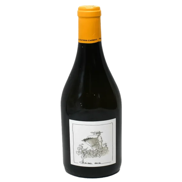 2020 anima mea muscadet sevret 0 1753345217 - BOTTLEBARRN