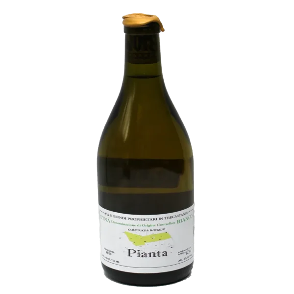 2020 ciro biondi etna bianco p 0 1753344537 - BOTTLEBARRN