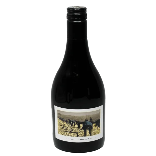 2021 Grenache Wine The Language of Yes - WE94 JS93 Rated 2021 grenache wine the languag 0 1753345050 - BOTTLEBARRN