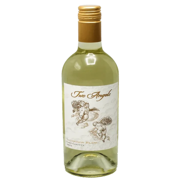 2023 New Release Two Angels Premium High Valley Sauvignon Blanc 2023 new release two angels pr 0 1753343603 - BOTTLEBARRN