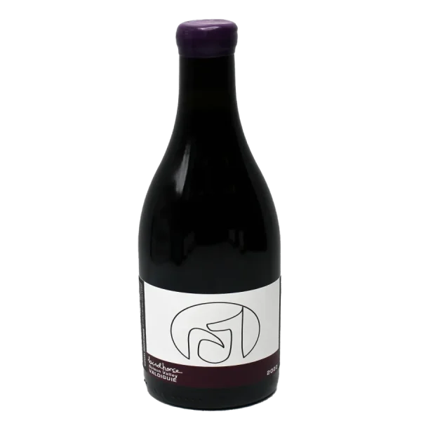 2023 valdiguie red wine birdho 0 1753344304 - BOTTLEBARRN