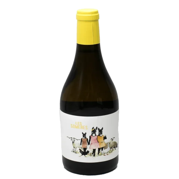 90-Point Clos dels Guarans Les Someres White Wine 2021 90 point clos dels guarans les 0 1753344940 - BOTTLEBARRN