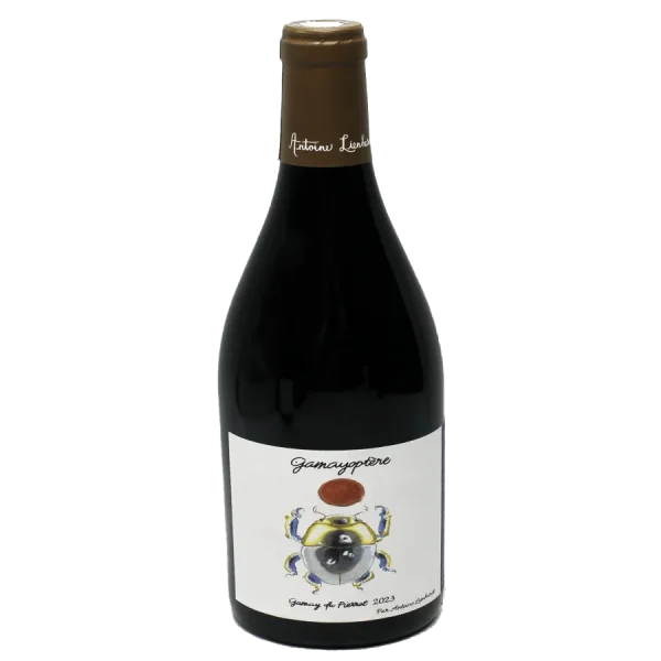 antoine lienhardt 2023 gamay d 0 1753345225 - BOTTLEBARRN