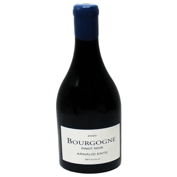 Arnaud Ente Burgundy Pinot Noir Vintage Wine arnaud ente burgundy pinot noi 0 1753345091 - BOTTLEBARRN