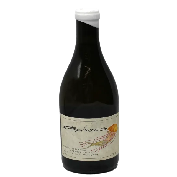 assiduous gruner veltliner whi 0 1753345255 - BOTTLEBARRN