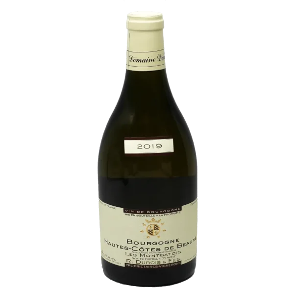 based on common search intent 0 1753344797 - BOTTLEBARRN