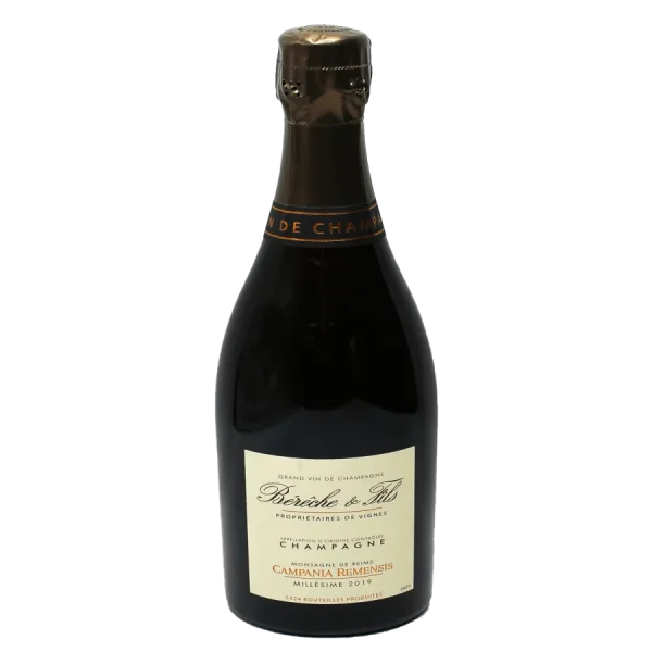 Bereche et Fils 2019 Extra Brut Rosé Champagne – Campania Remensis bereche et fils 2019 extra bru 0 1753344293 - BOTTLEBARRN