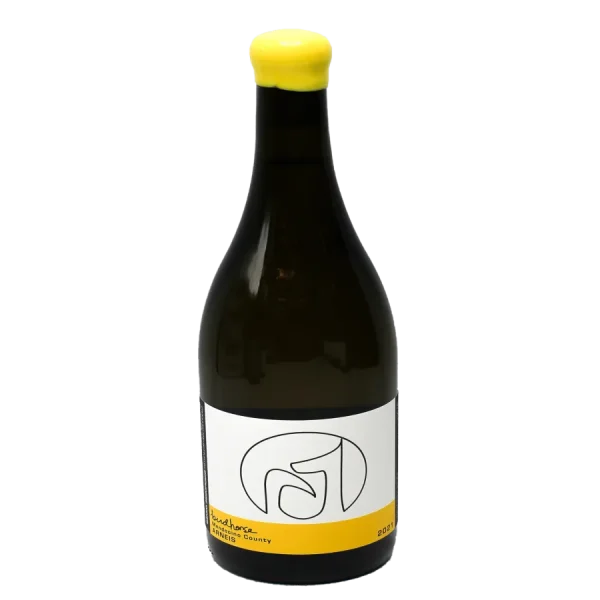 birdhorse arneis italian white 0 1753344293 - BOTTLEBARRN