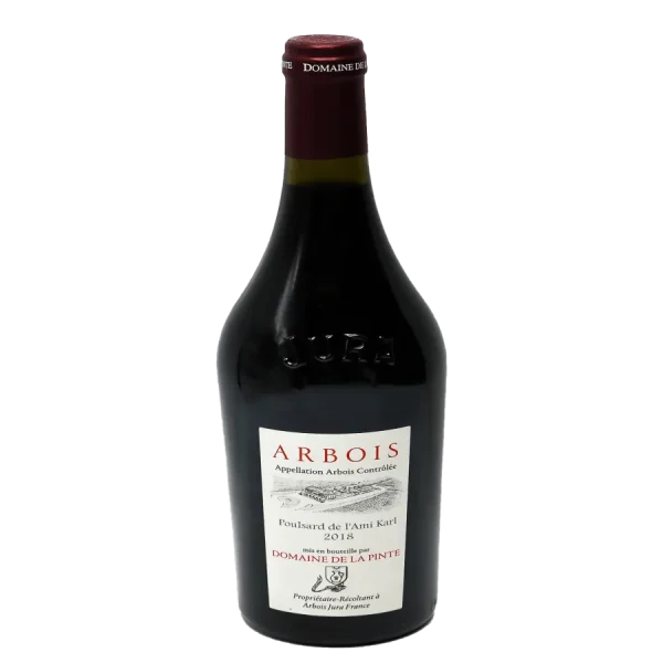 discover rare vintage pulsar w 0 1753344381 - BOTTLEBARRN