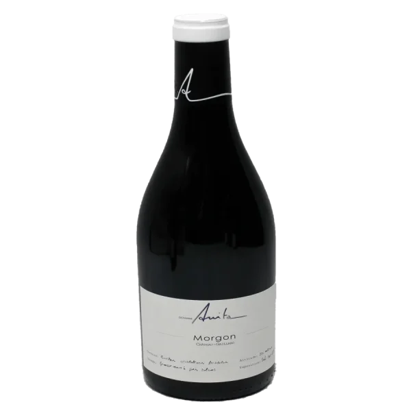Domaine Anita 2022 Morgon Chateau-Gaillard Red Wine JS96 Rated domaine anita 2022 morgon chat 0 1753345234 - BOTTLEBARRN