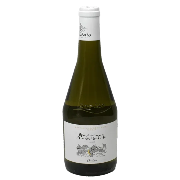 Domaine Gadais 2022 Muscadet Sèvre et Maine Sur Lie domaine gadais 2022 muscadet s 0 1753345197 - BOTTLEBARRN