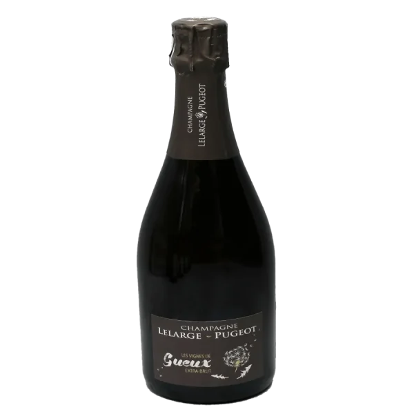 Dry Premium Extra Brut Champagne | LE LARGE-PUESGOT GUEUX dry premium extra brut champag 0 1753343763 - BOTTLEBARRN