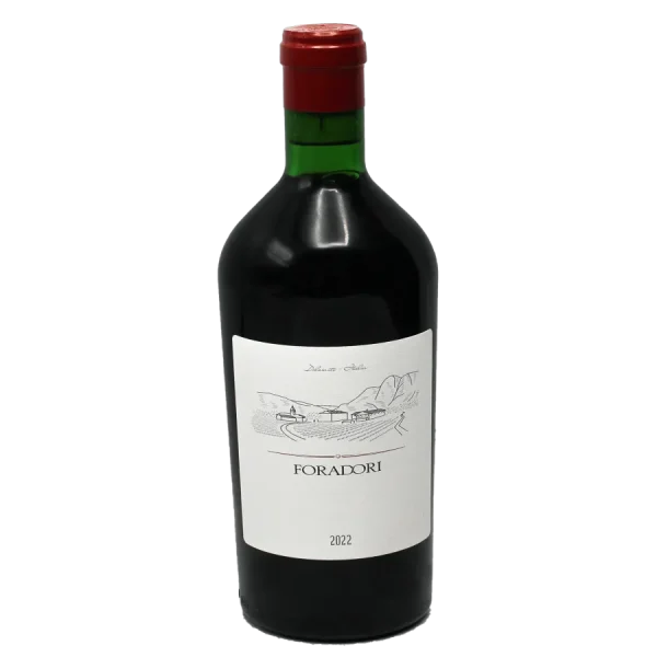 foradori teroldego 2023 italia 0 1753345305 - BOTTLEBARRN