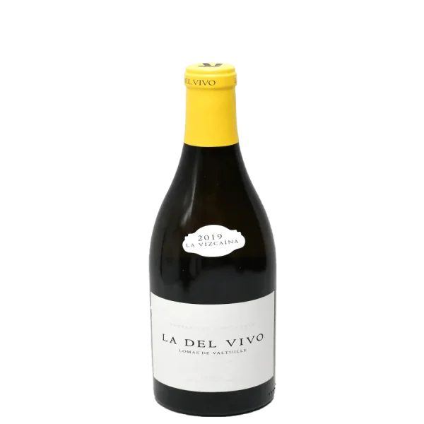 la vizcaina bierzo red wine 20 0 1753343791 - BOTTLEBARRN