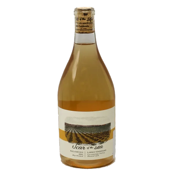 lopez vineyard 2022 palomino w 0 1753344749 - BOTTLEBARRN