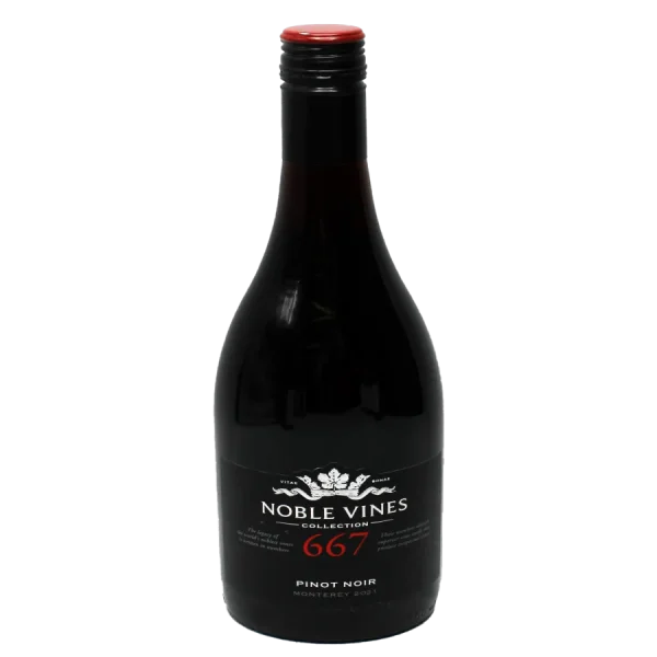 Noble-Vine Cabernet Sauvignon | Premium Vintage with Wine Enthusiast Score noble vine cabernet sauvignon 0 1753344961 - BOTTLEBARRN