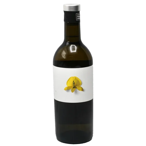 pedralonga carolina albario 20 0 1753345130 - BOTTLEBARRN