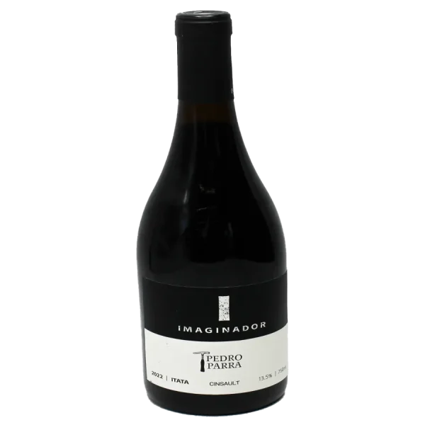 pedro parra imaginador cinsaul 0 1753345523 - BOTTLEBARRN