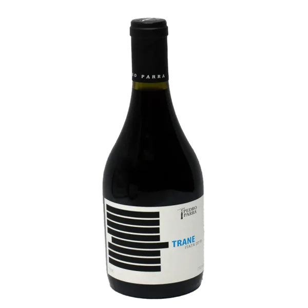 pedro parra trane 2019 chilean 0 1753344252 - BOTTLEBARRN