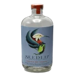 seedlip avocado infusd nonalch 0 1753345112 - BOTTLEBARRN