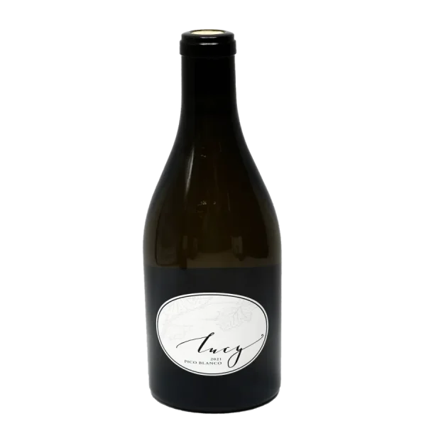 stylish white lucy pico newest 0 1753344440 - BOTTLEBARRN